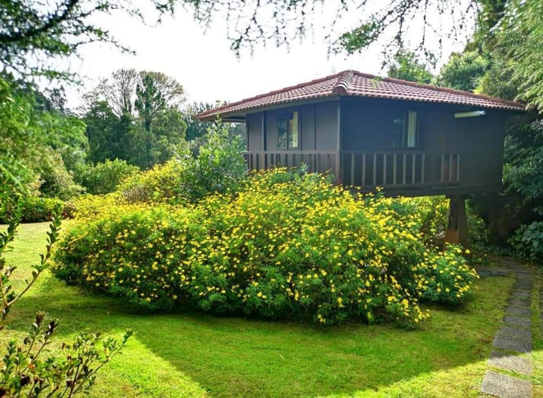 Nature - Santo Da Serra